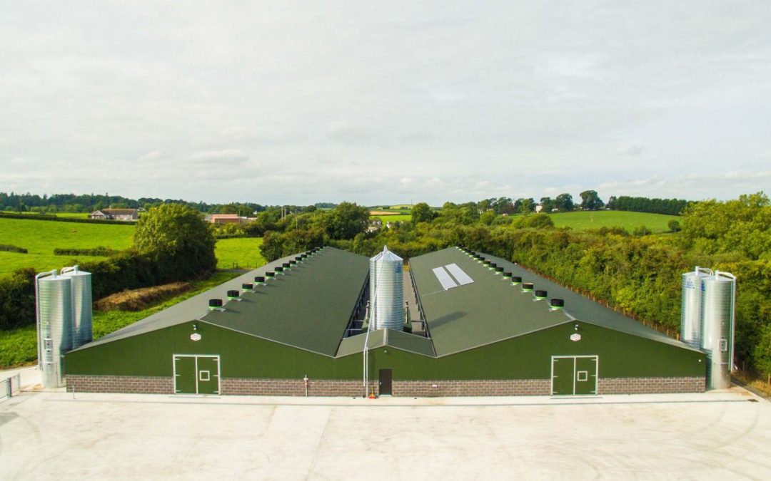 A broiler farm