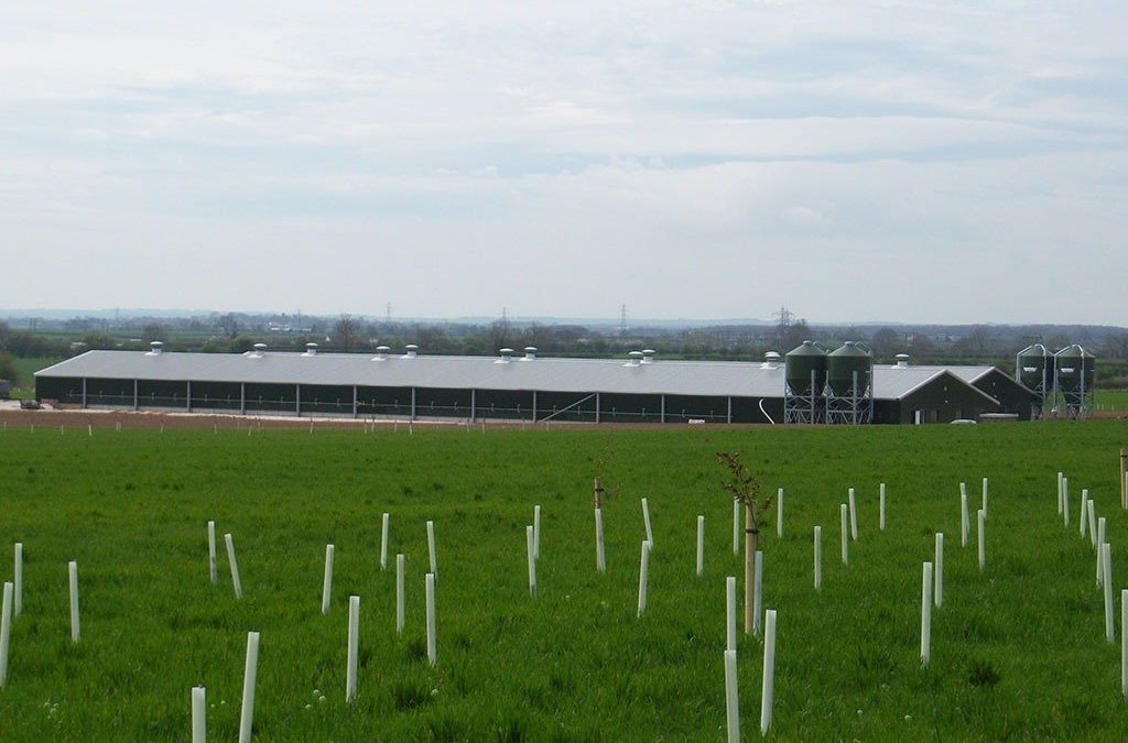 Morspan Construction Ltd: Sustainability Hub Profile