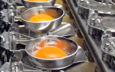 Ready Egg Products launches British Lion Egg powder