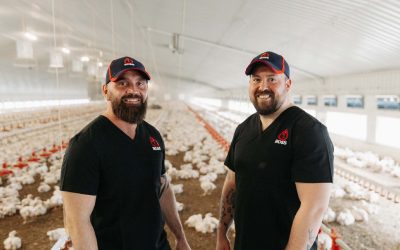 Aviagen launches Ross 505 Club for UK broiler growers