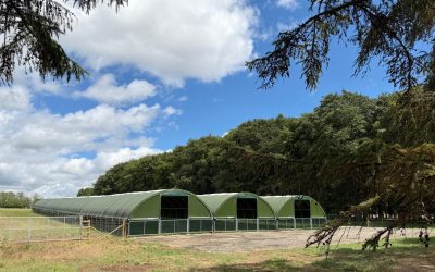 Traditional Norfolk Poultry seeks more East Anglian farms for free-range birds