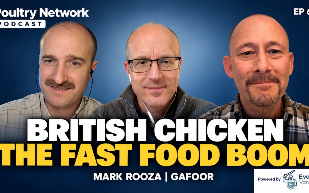 Ep 64 | British chicken: imports, independent growers and the fast food boom