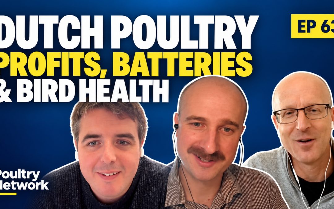Ep 63| From the Dutch Pork and Poultry Expo: Profits, batteries and bird health